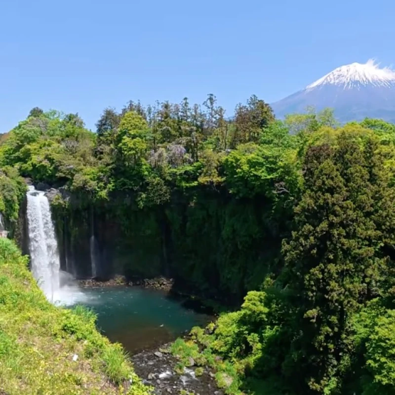 Gallery image for Shiraito Falls: Mount Fuji's Ethereal Wall of Water